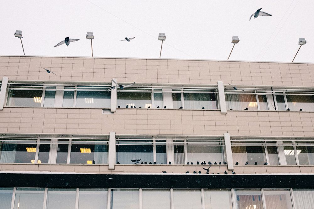 Photograph by Марат Гизатуллин