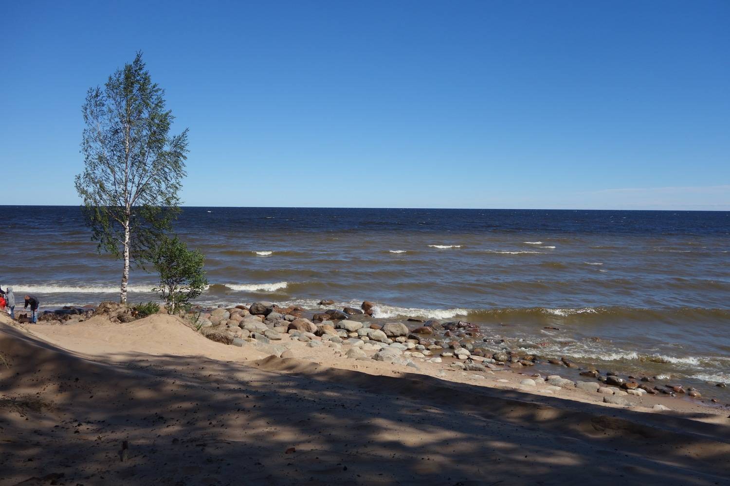 Photo #13690223