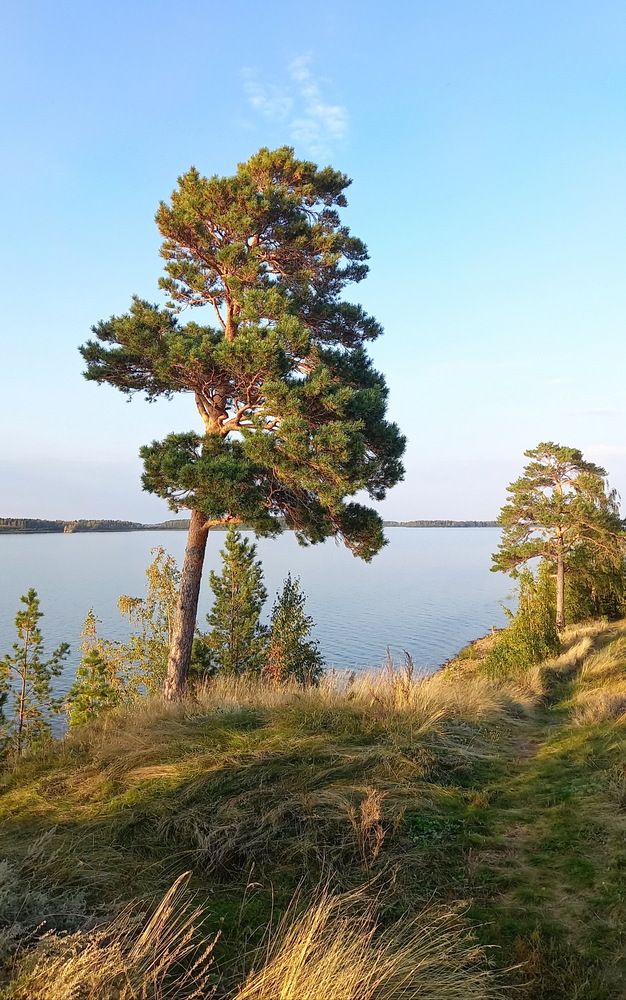 Photograph by Нина