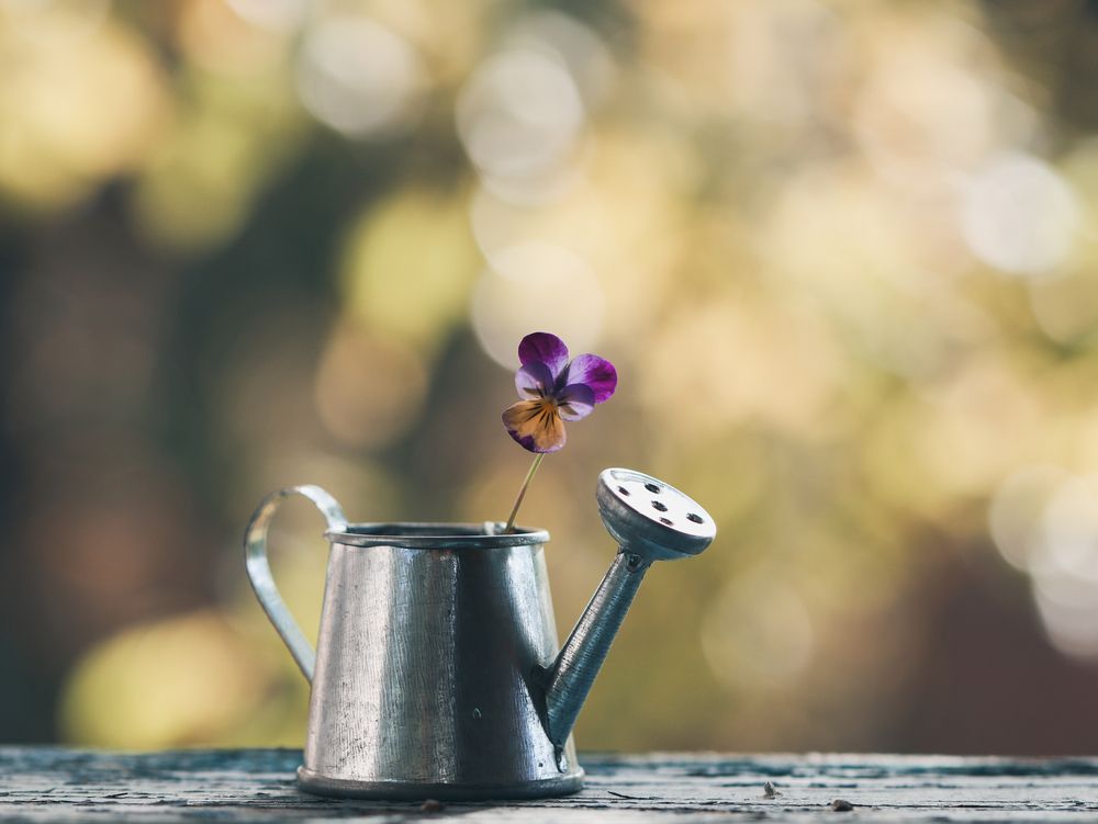 Photograph by Ирина Корабельникова