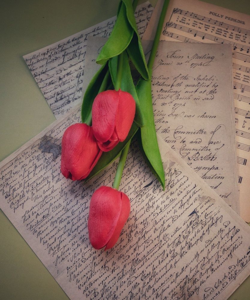 Photograph by Татьяна