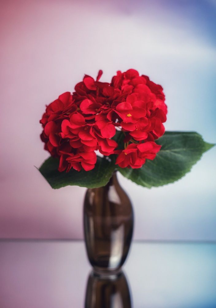 Photograph by Татьяна