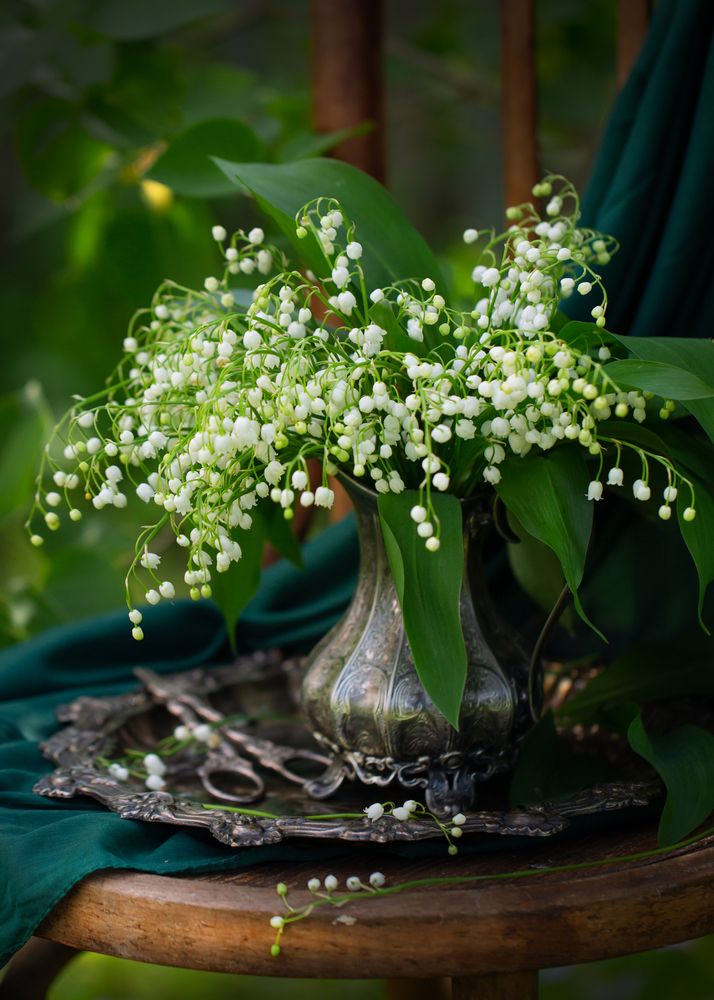 Photograph by Arina Bogachyova