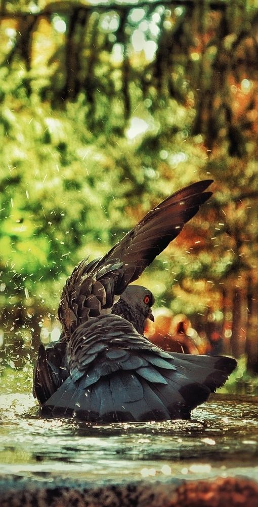Photograph by Дайана