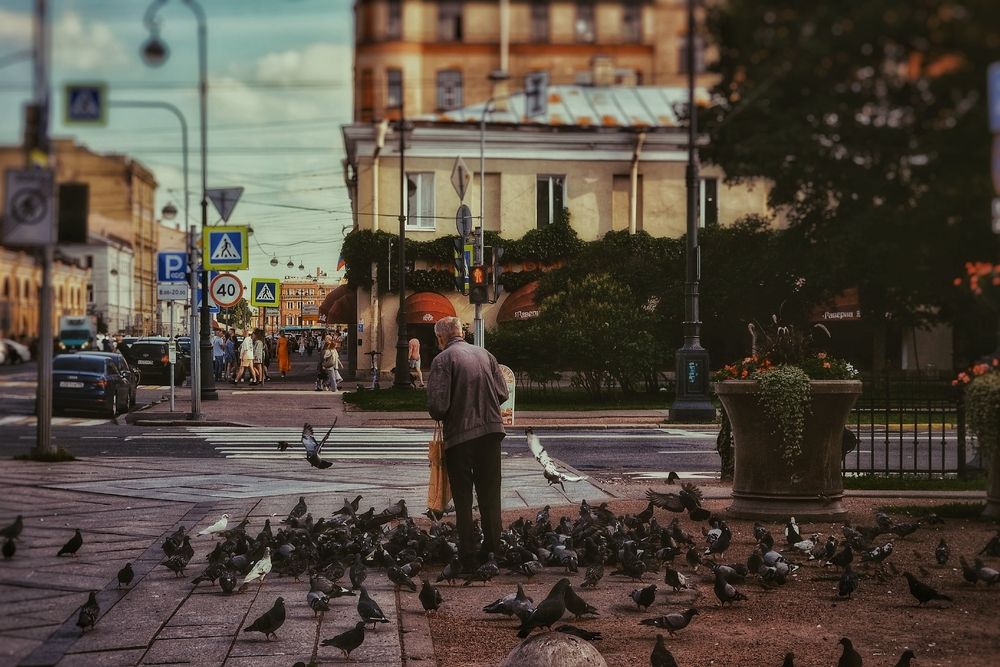 Photograph by Дайана