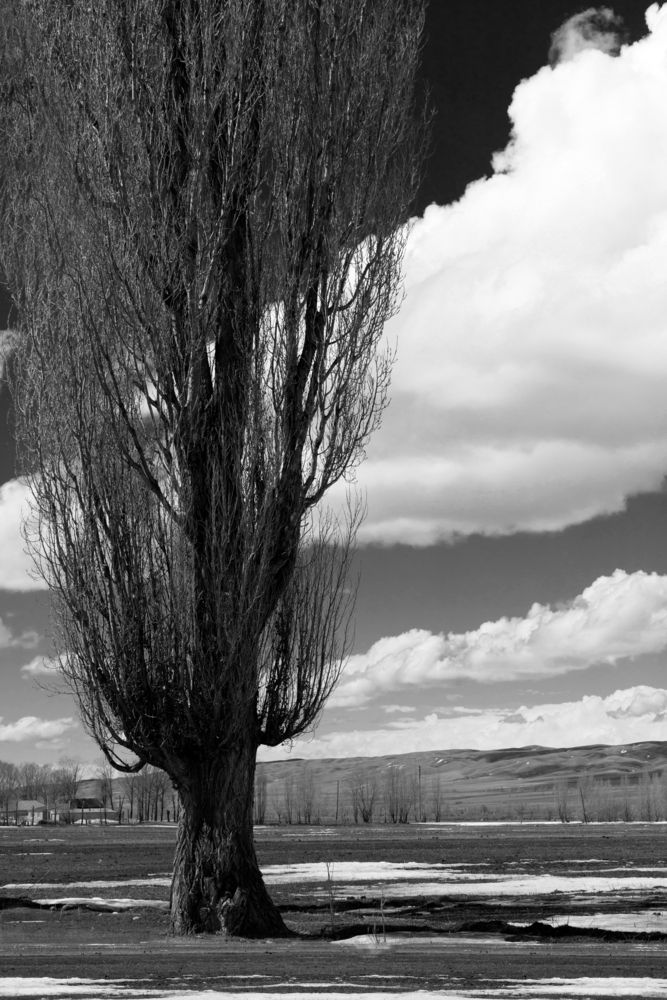 Photograph by Вероника Ким