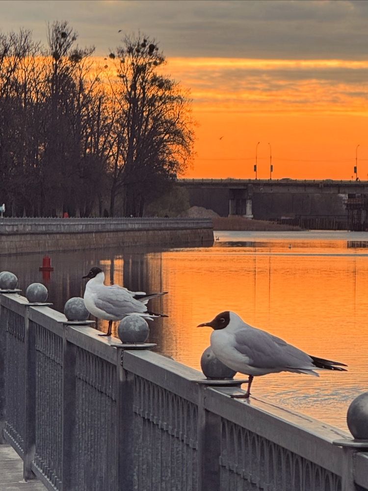 Photograph by Светлана Герасимук