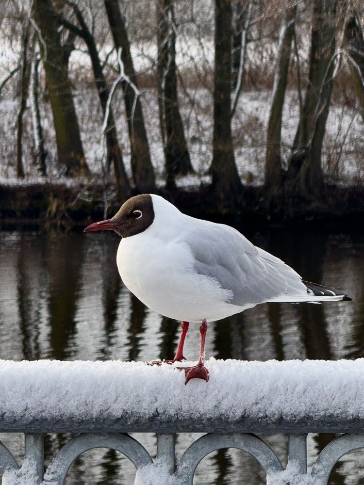 Photograph by Светлана Герасимук