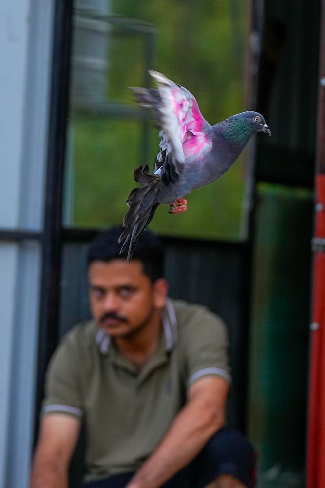 Photograph by Sahil K