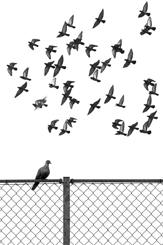 Фотография автора Bob Gajdoš