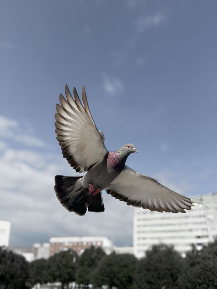 Photograph by Екатерина Козлова