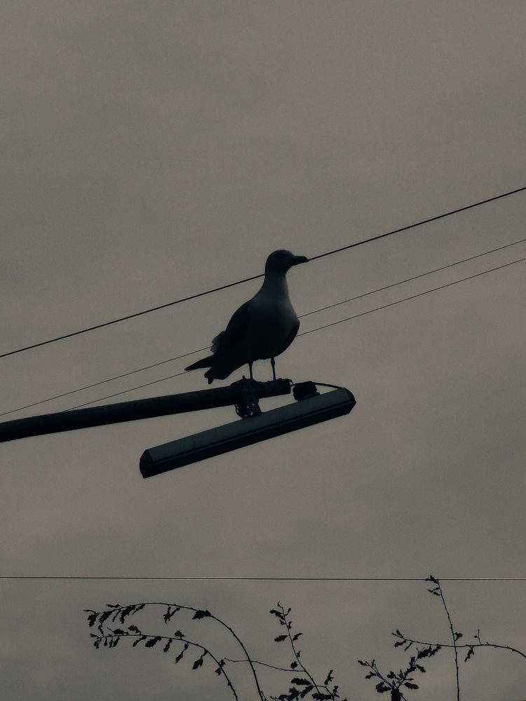 Photograph by Дарина Ворошилова