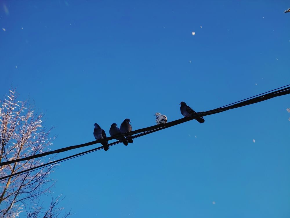 Photograph by Дарина Ворошилова
