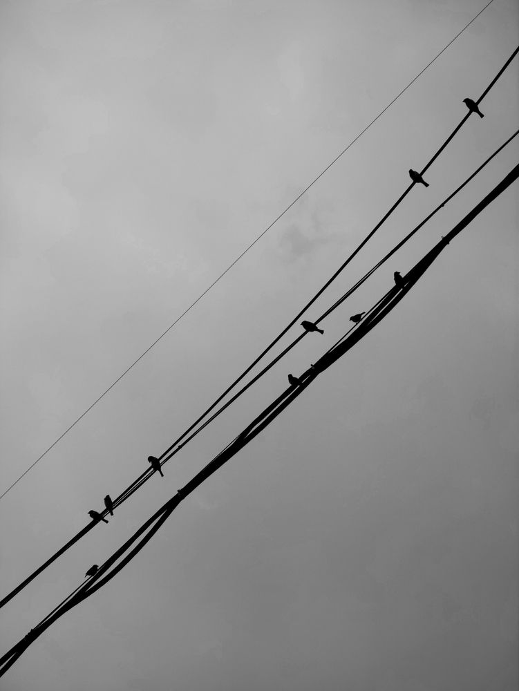 Photograph by Дарина Ворошилова