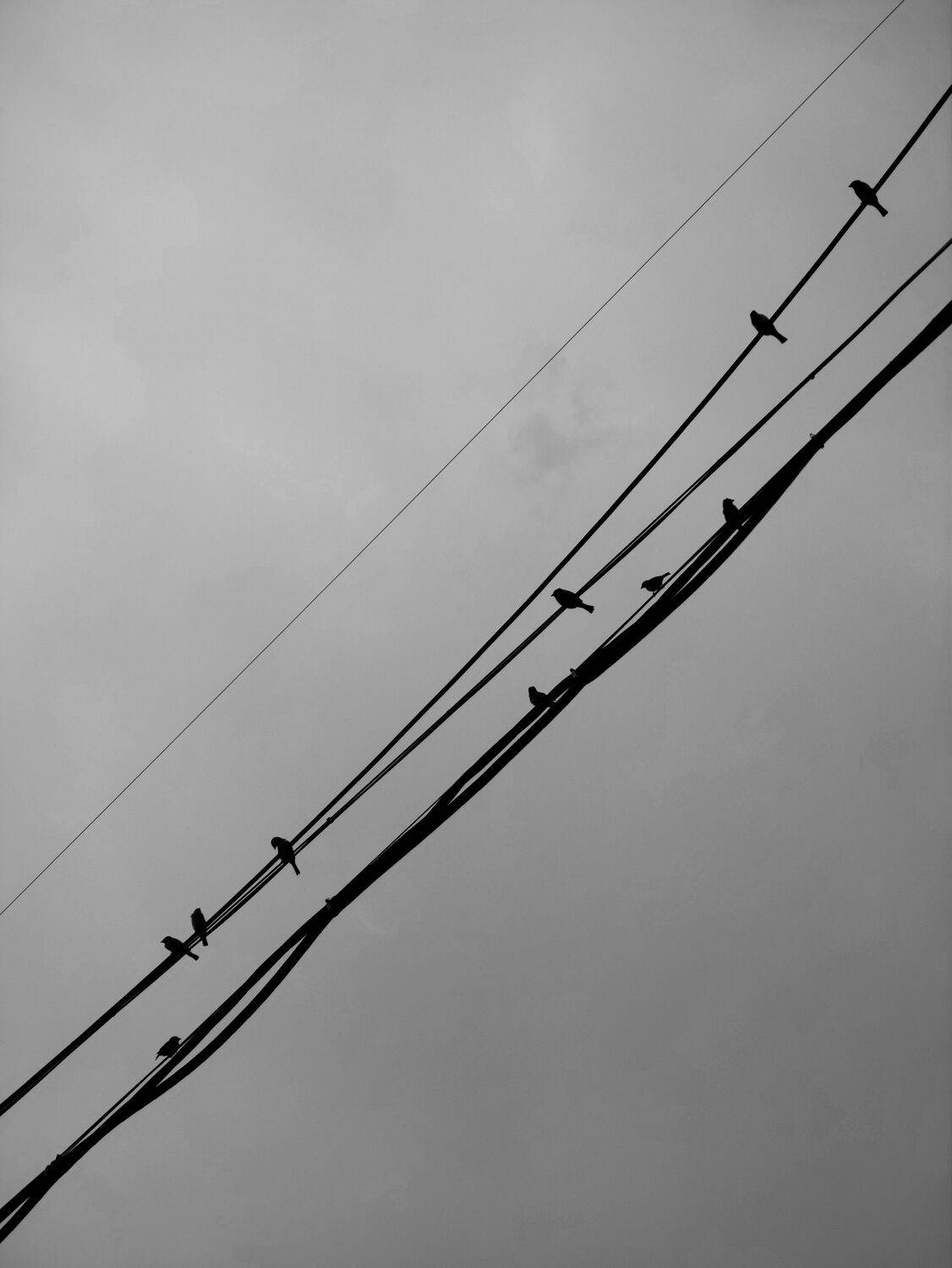 Photo #13690434
