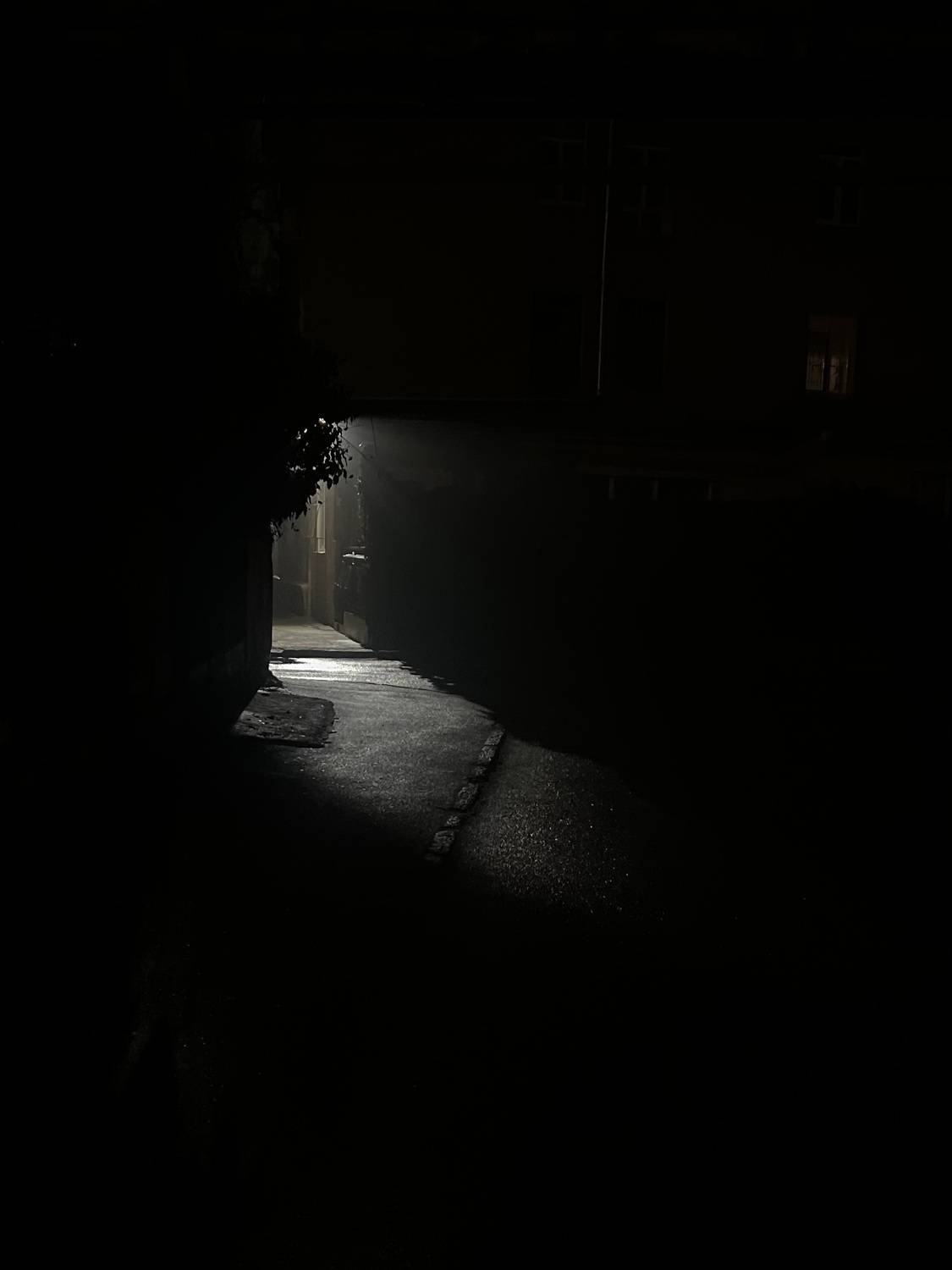 Photo #13690436