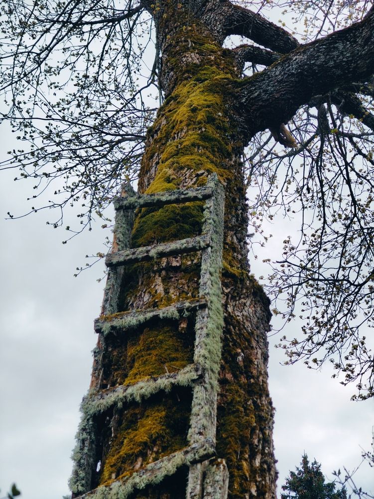 Photograph by Дарина Ворошилова