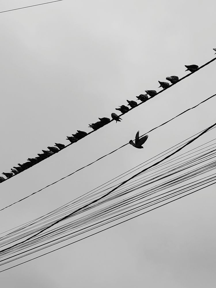 Photograph by Аліна Слишик