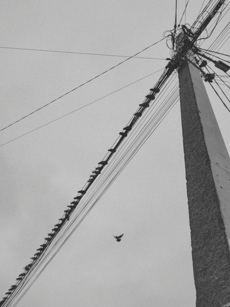 Photograph by Аліна Слишик