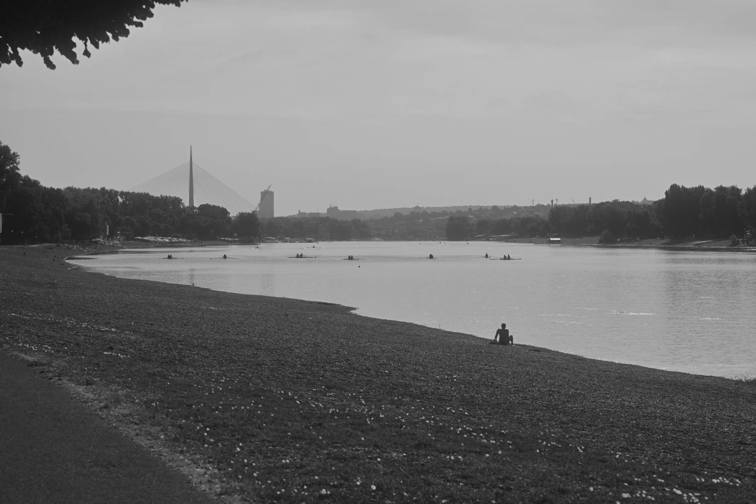 Photo #13690449