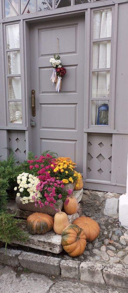 Photo #13690537