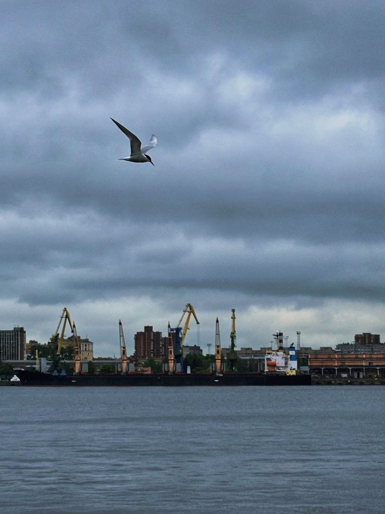 Photograph by Наталья Тополевская