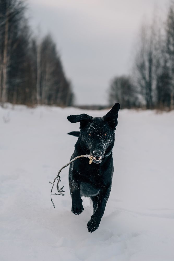 Photograph by Евгения Чернова