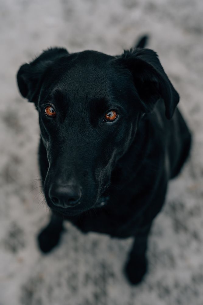 Photograph by Евгения Чернова