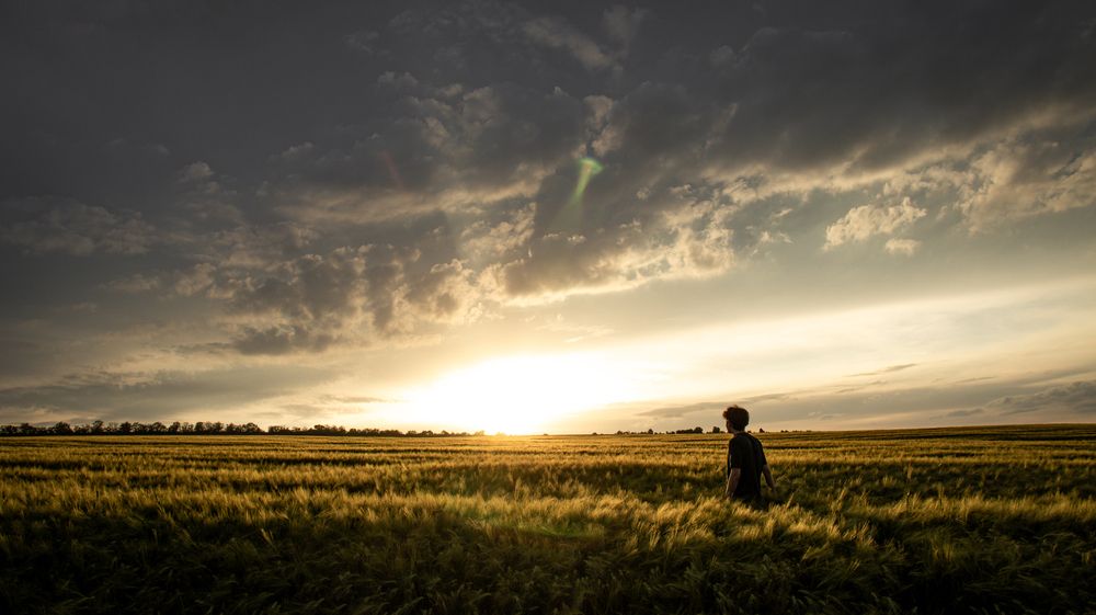 Photograph by Даниил Сырбу