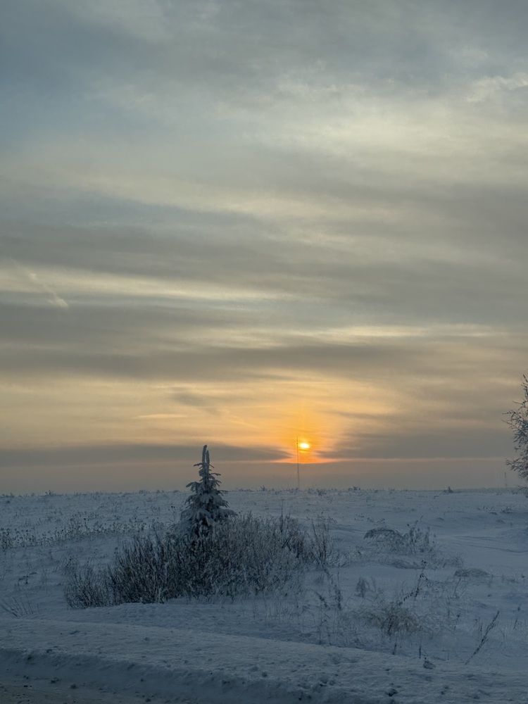 Фотография автора Светлана Долганова