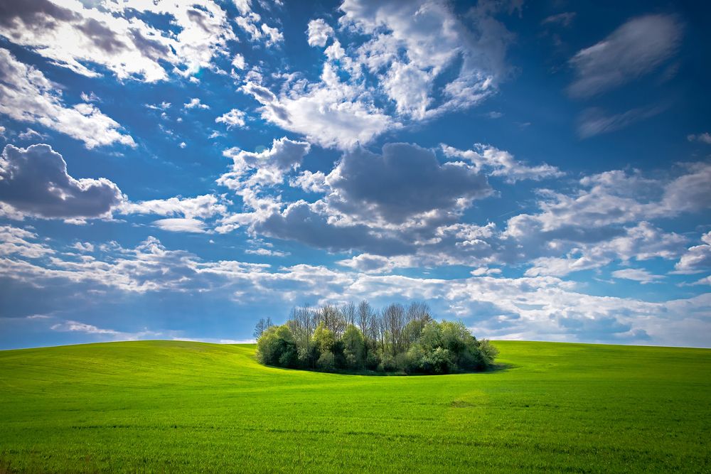 Photograph by Ольга Холкина