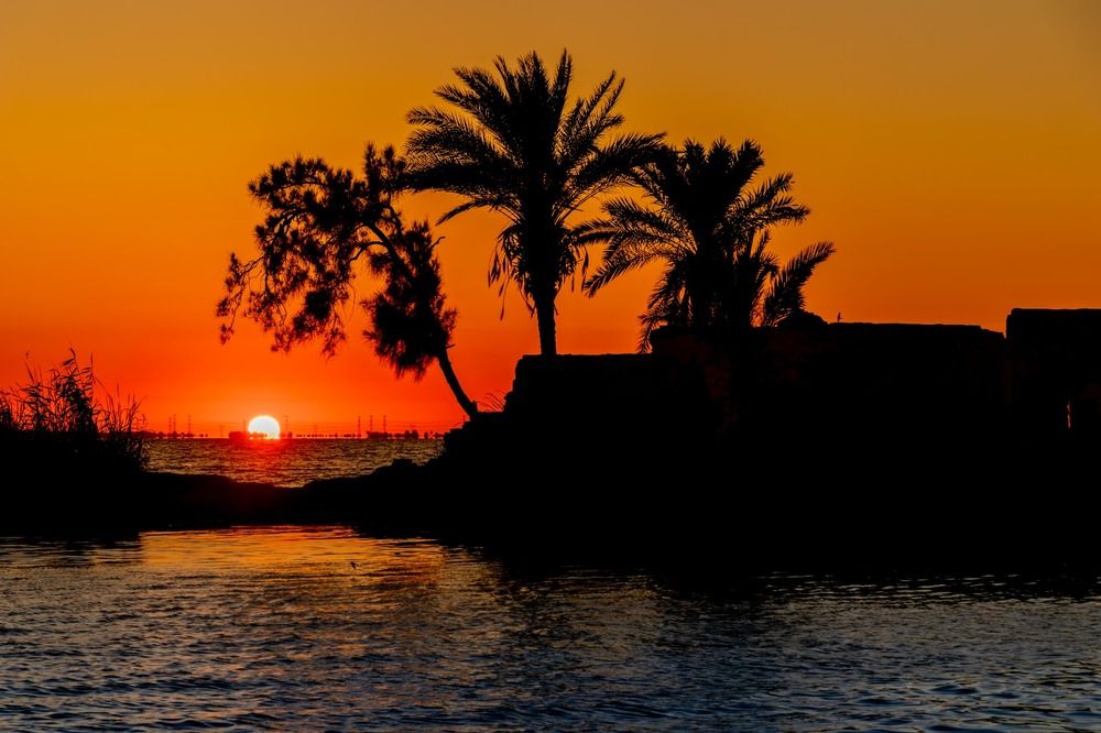 Photograph by Heba Ahmed