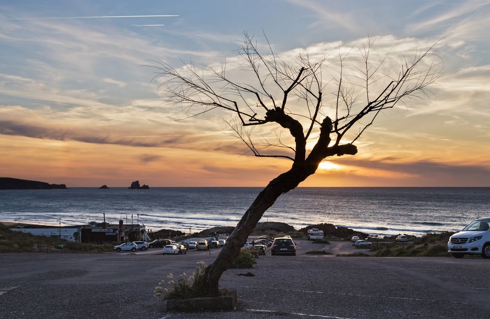 Photograph by Галина Юдина