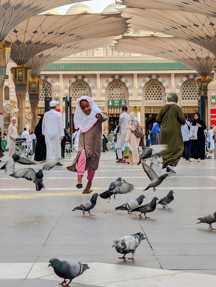 City Birds: A Dance with Nature