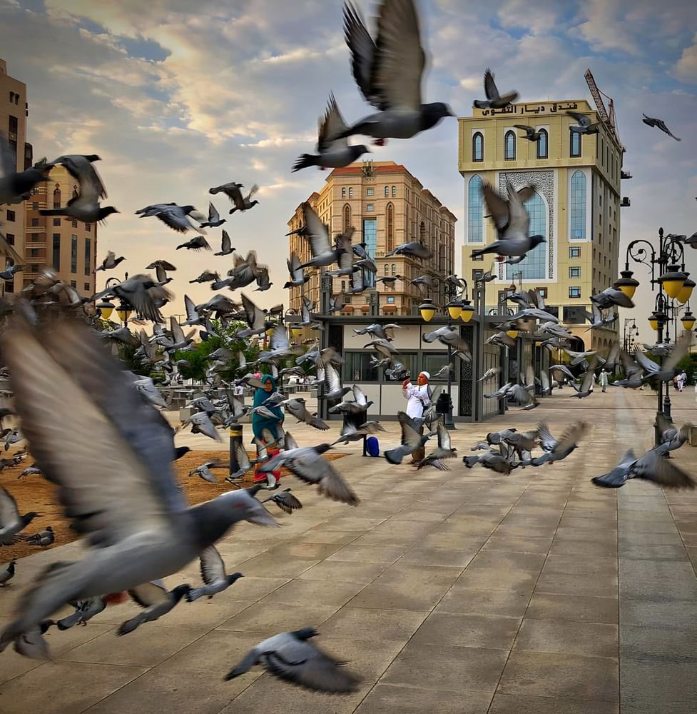Harmony of Life in the Heart of the City