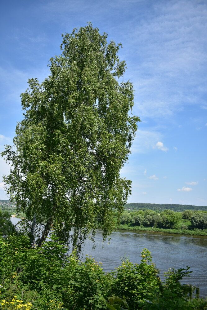 Photograph by Светлана Чехлань