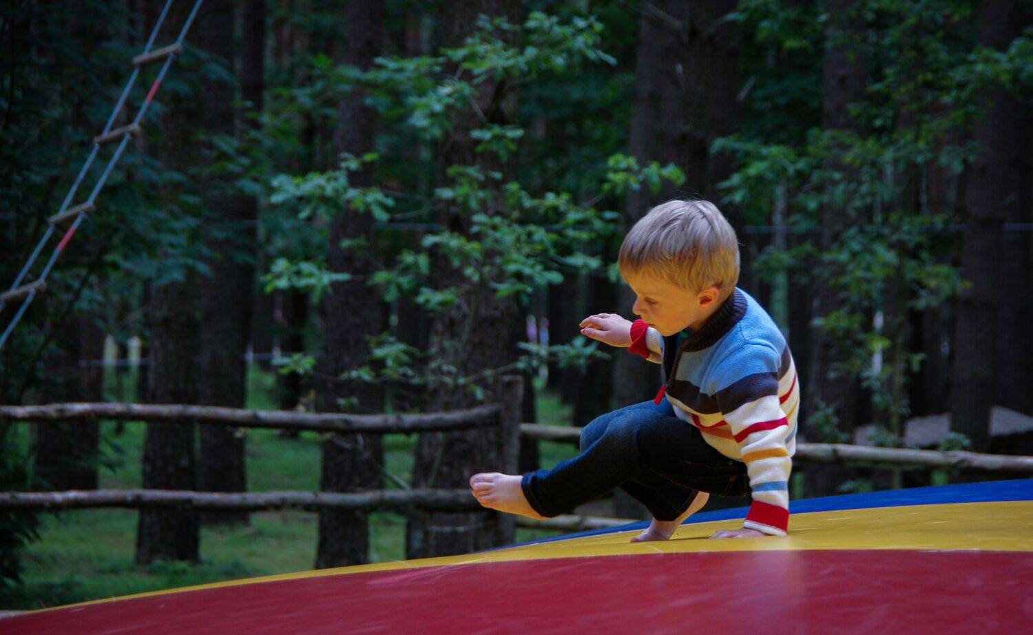 Photo #13690798