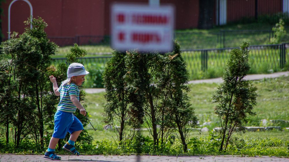 Photo #13690800