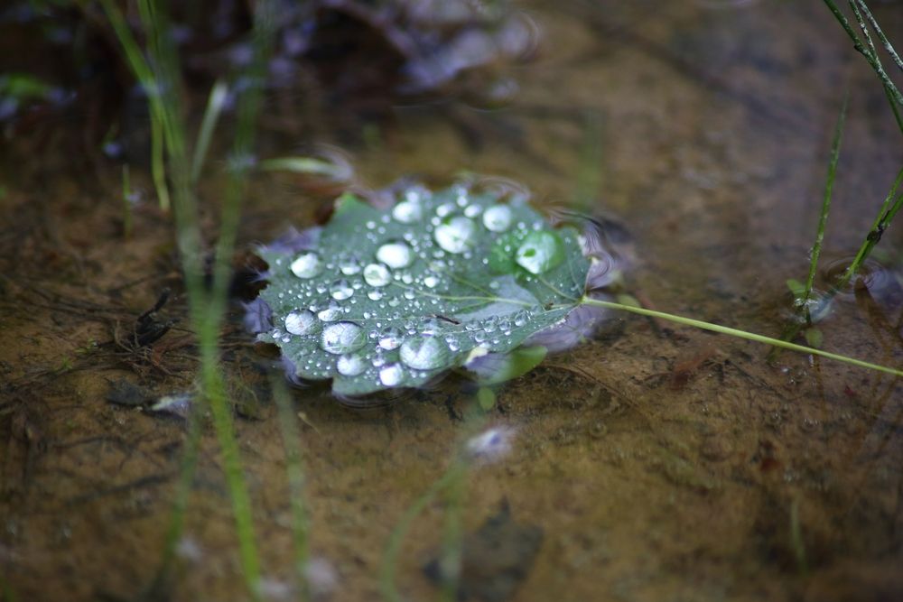 Photograph by Елена Наленч