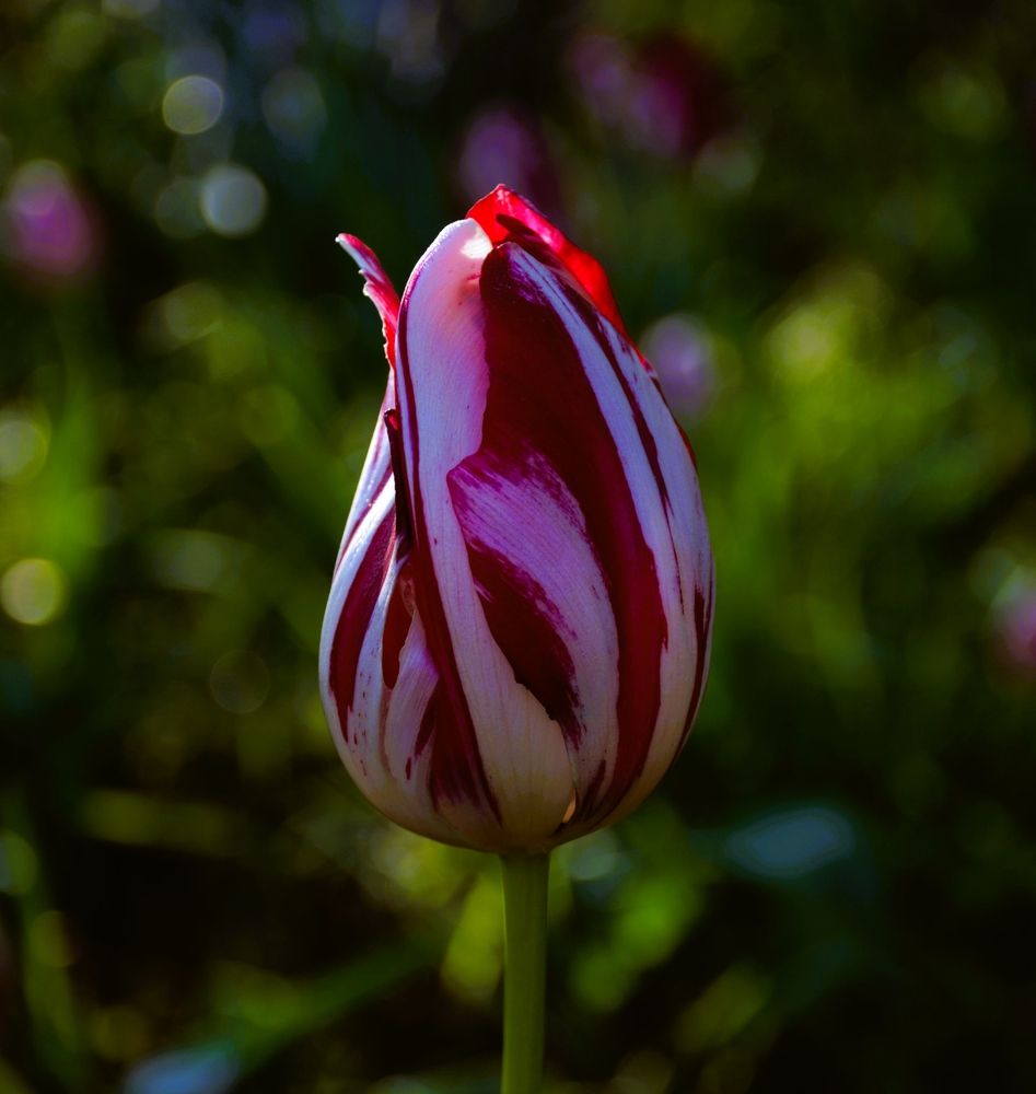 Photograph by Сергей Мамалюк