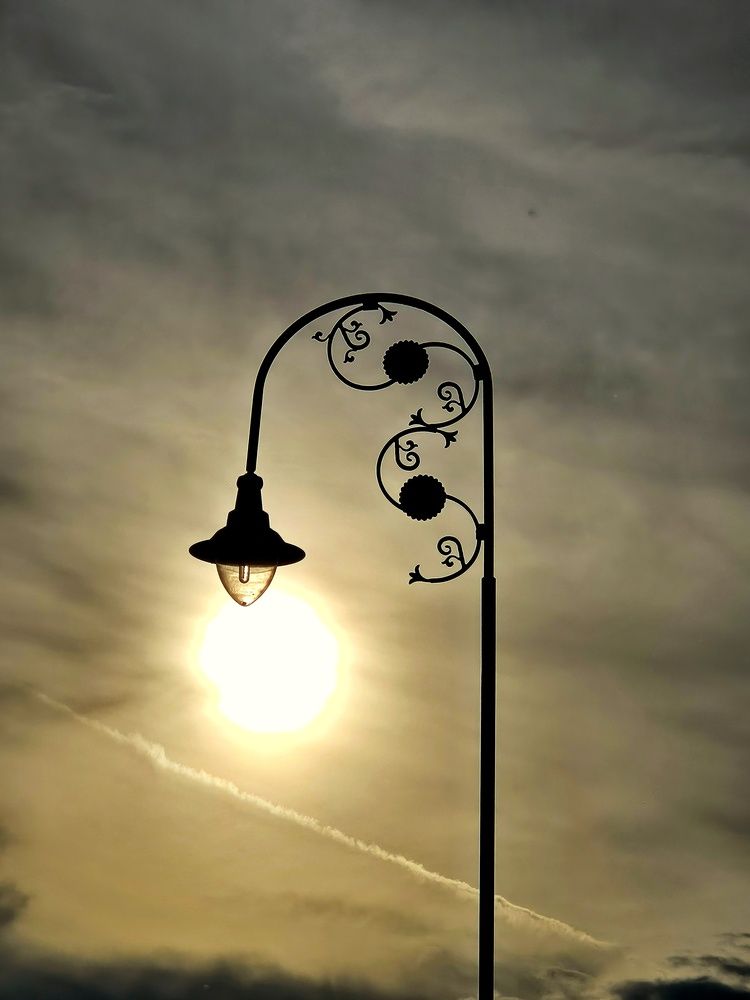 Photograph by Sarageaua Cristina