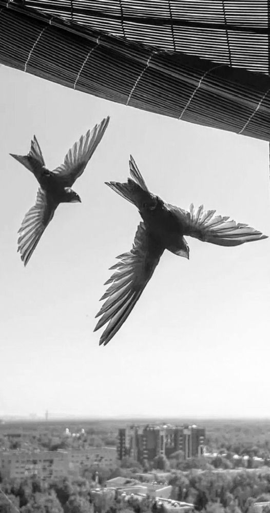 Photograph by Елена Эйнова
