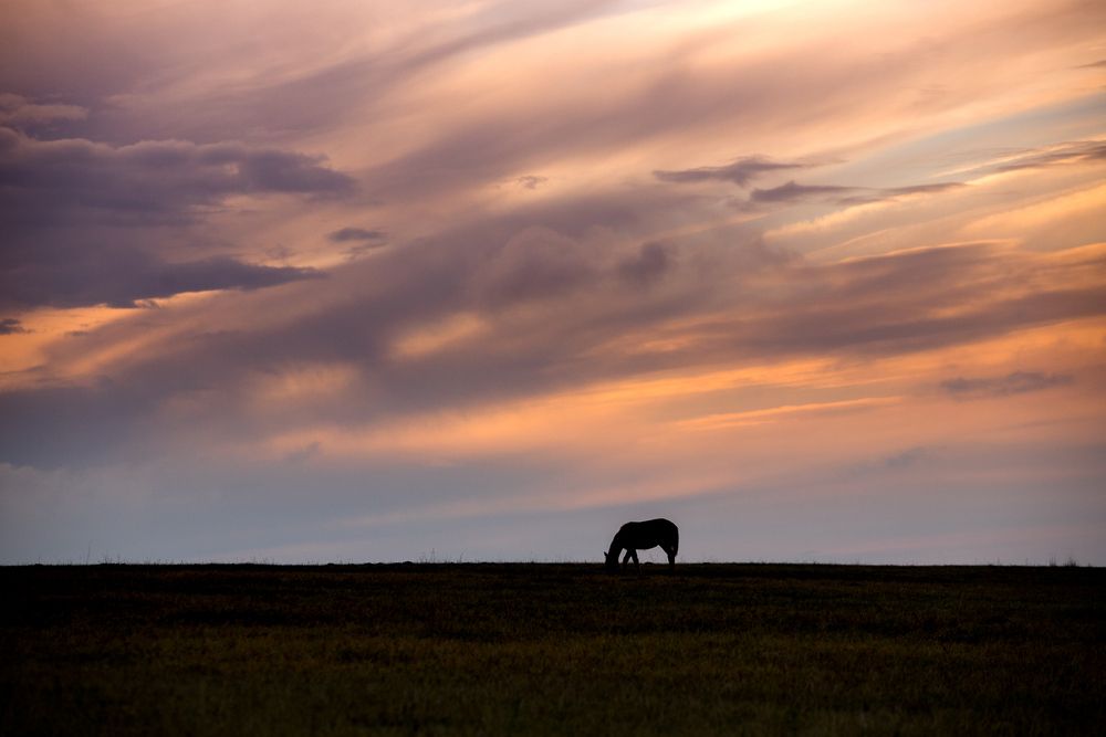 Photograph by Раздорова Мария