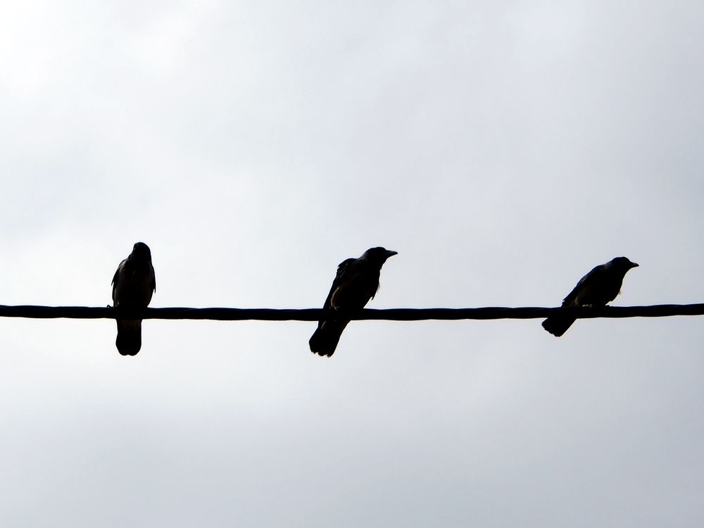 Photograph by Abdolreza Aleagha