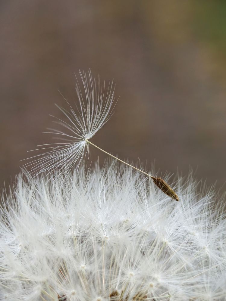Photograph by Шевелева Юлия