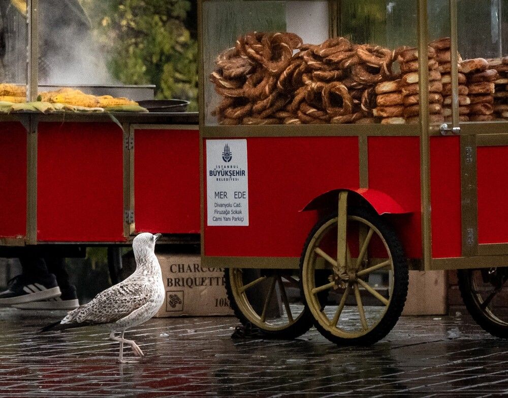 Photograph by Анна Стрелковская