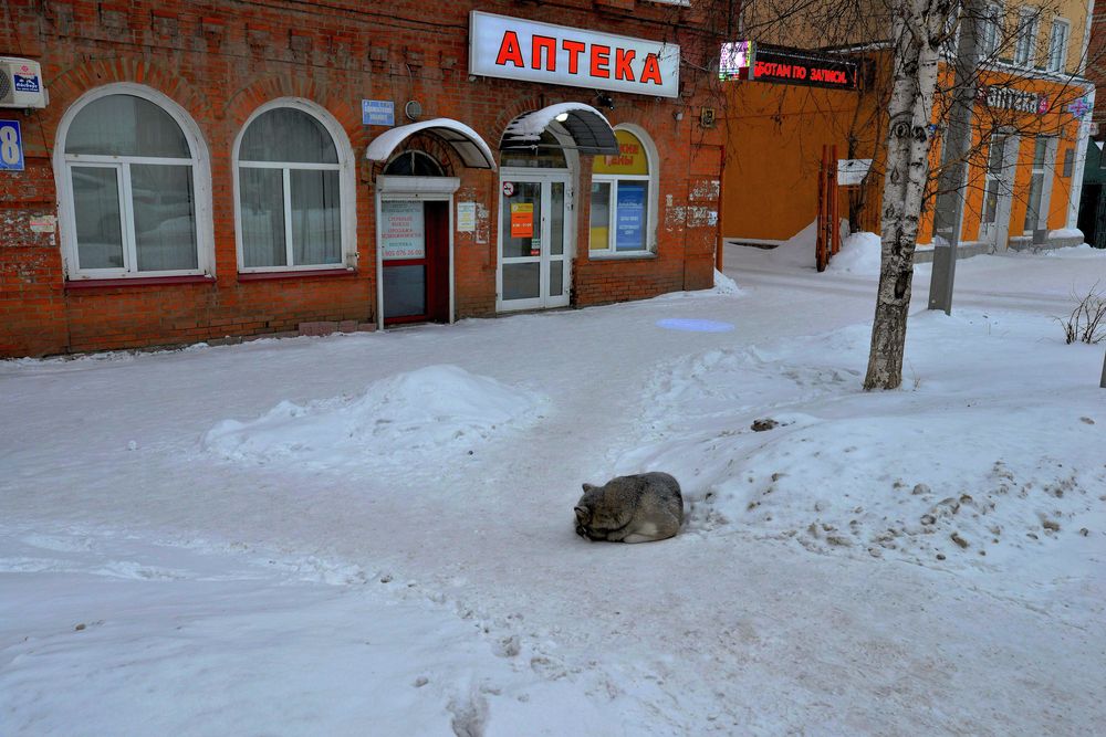 Photograph by Юрий Тимофеев