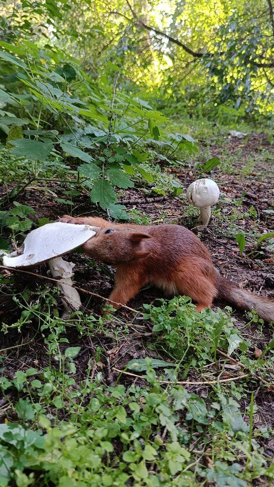 Обед по расписанию