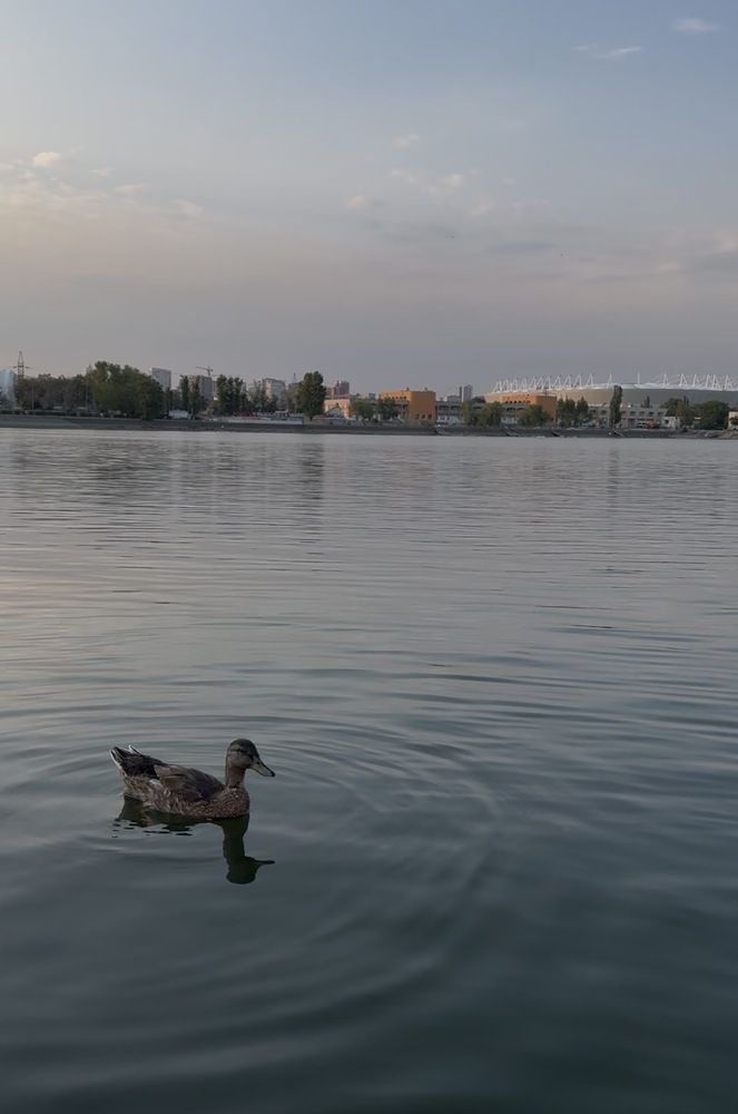Photograph by Юлия