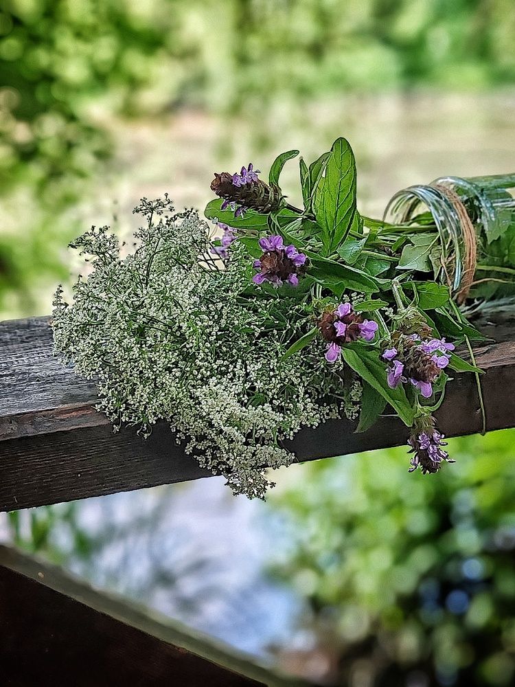 Photograph by Светлана Васильева